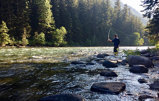Man fishes in the Gallatin River.