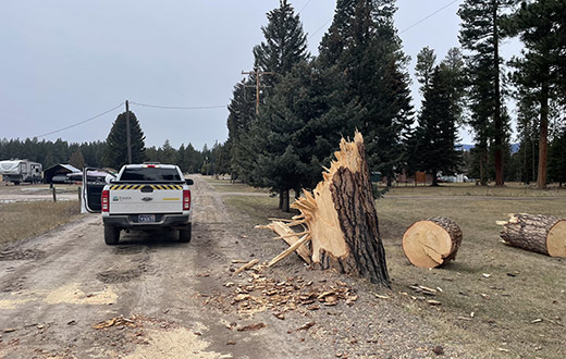 NorthWestern Energy truck parked next to a broken tree.