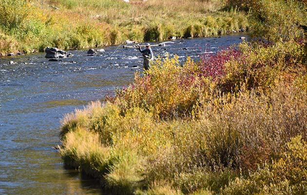 An angler fishes the Madison River
